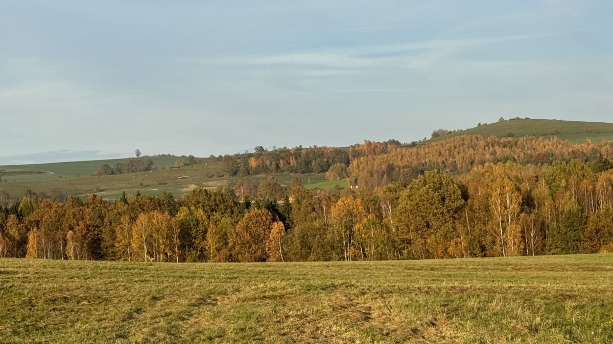 Działka rolna na sprzedaż Siedlęcin  9 400m2 Foto 1