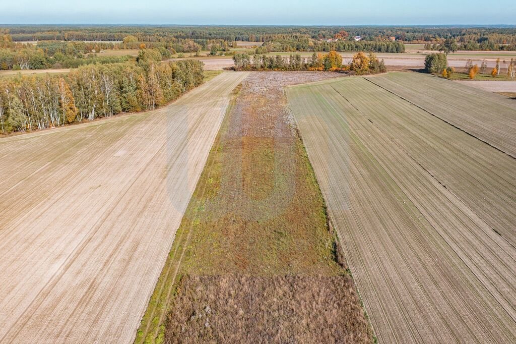 Działka budowlana na sprzedaż Krajęczyn  3 000m2 Foto 9