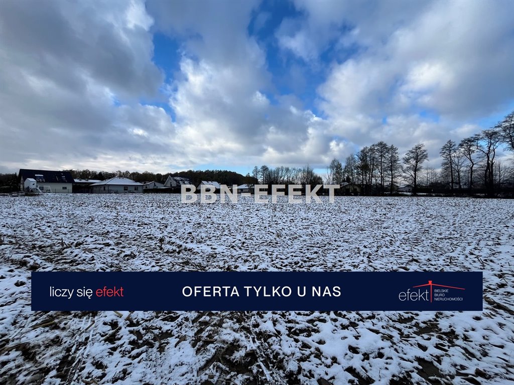 Działka budowlana na sprzedaż Biery  7 394m2 Foto 6