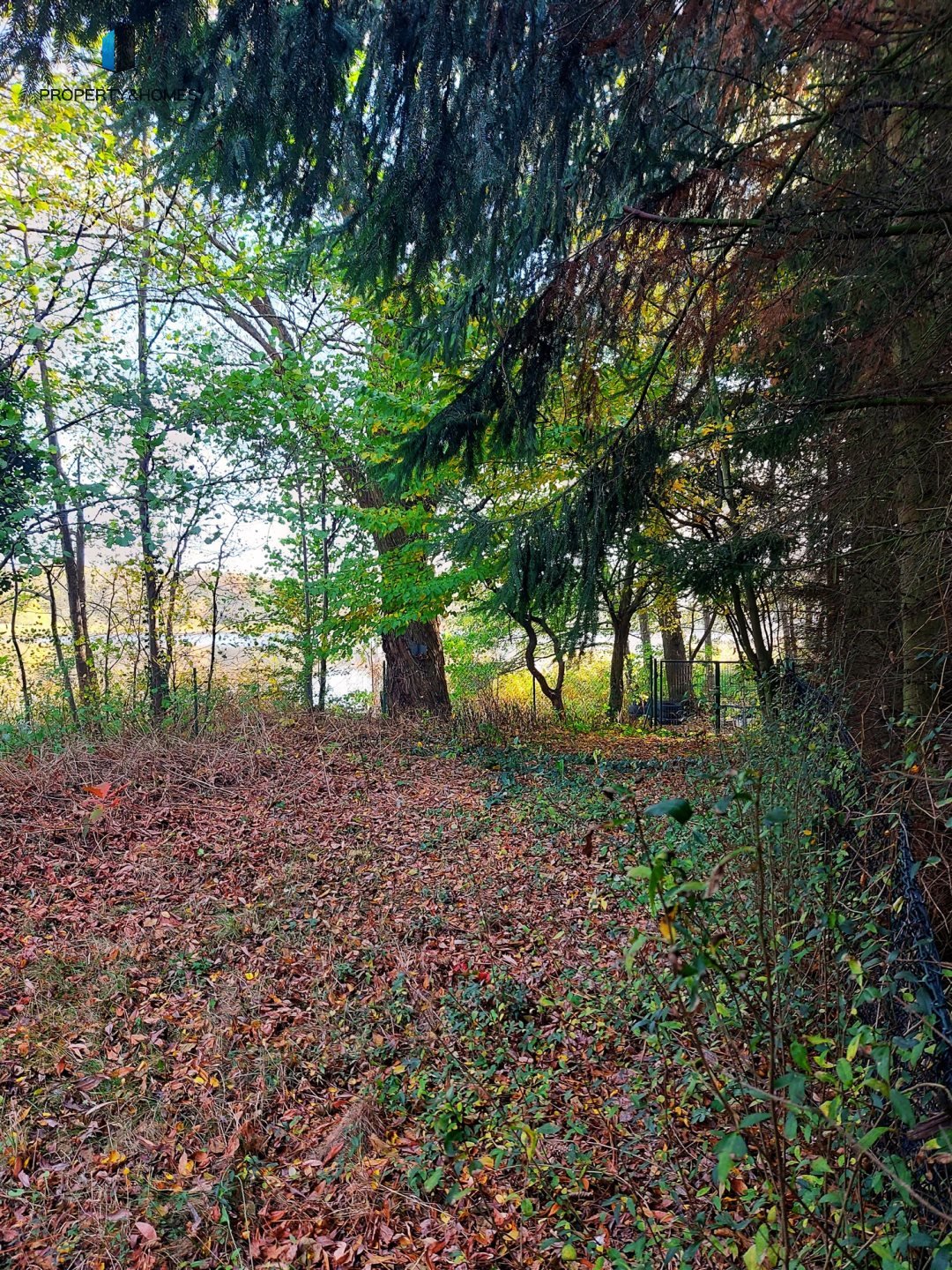 Działka rekreacyjna na sprzedaż Wiatrowo  200m2 Foto 4