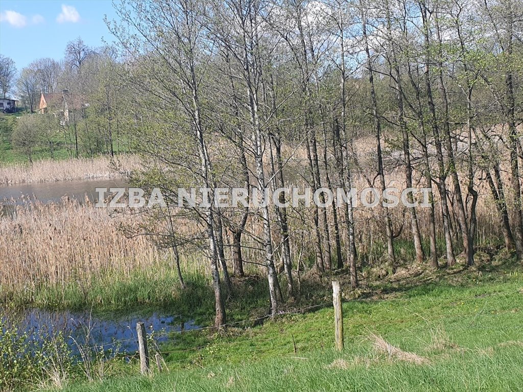 Działka rekreacyjna na sprzedaż Grabnik  3 000m2 Foto 10