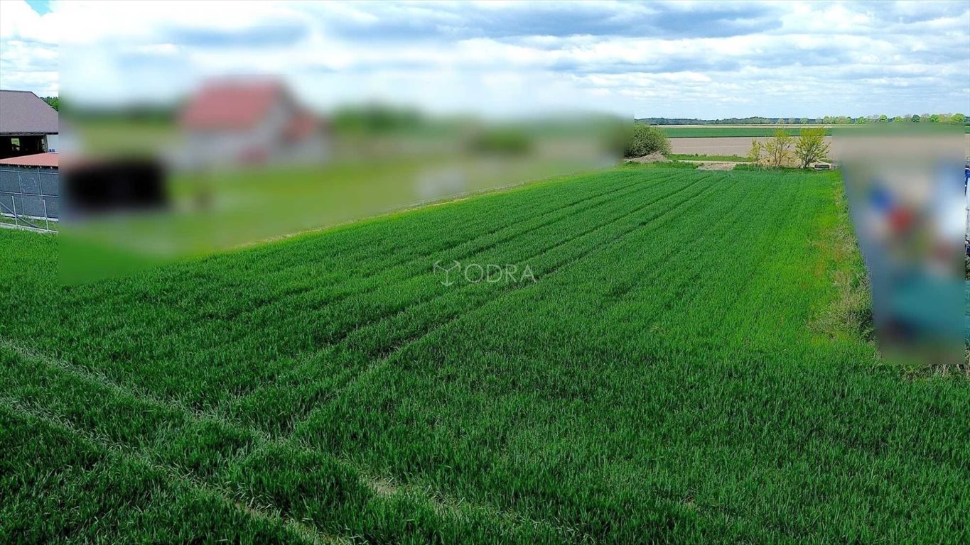 Działka 1330 m² pod zabudowę w spokojnej okolicy polecam Jelcz-Laskowice  1 330m2 Foto 1