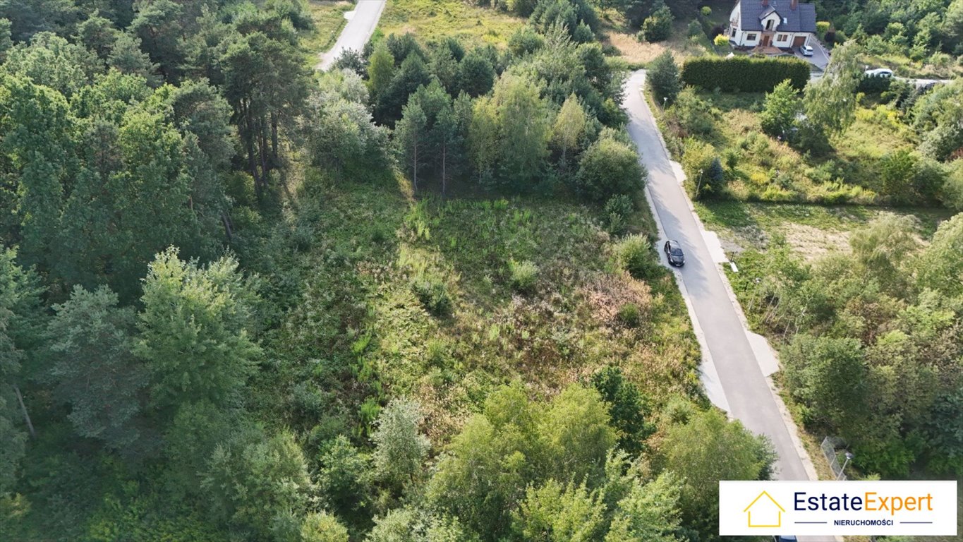 Zdjęcie 8