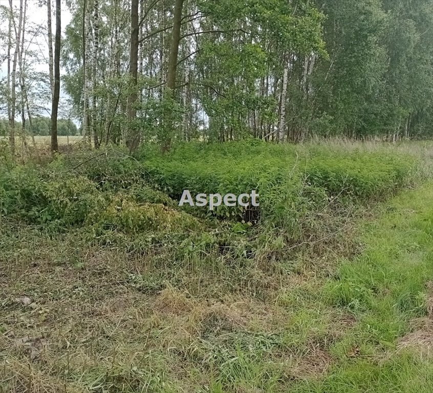 Działka budowlana na sprzedaż Sokołów Małopolski, Trzebuska, Kąty  1 000m2 Foto 1