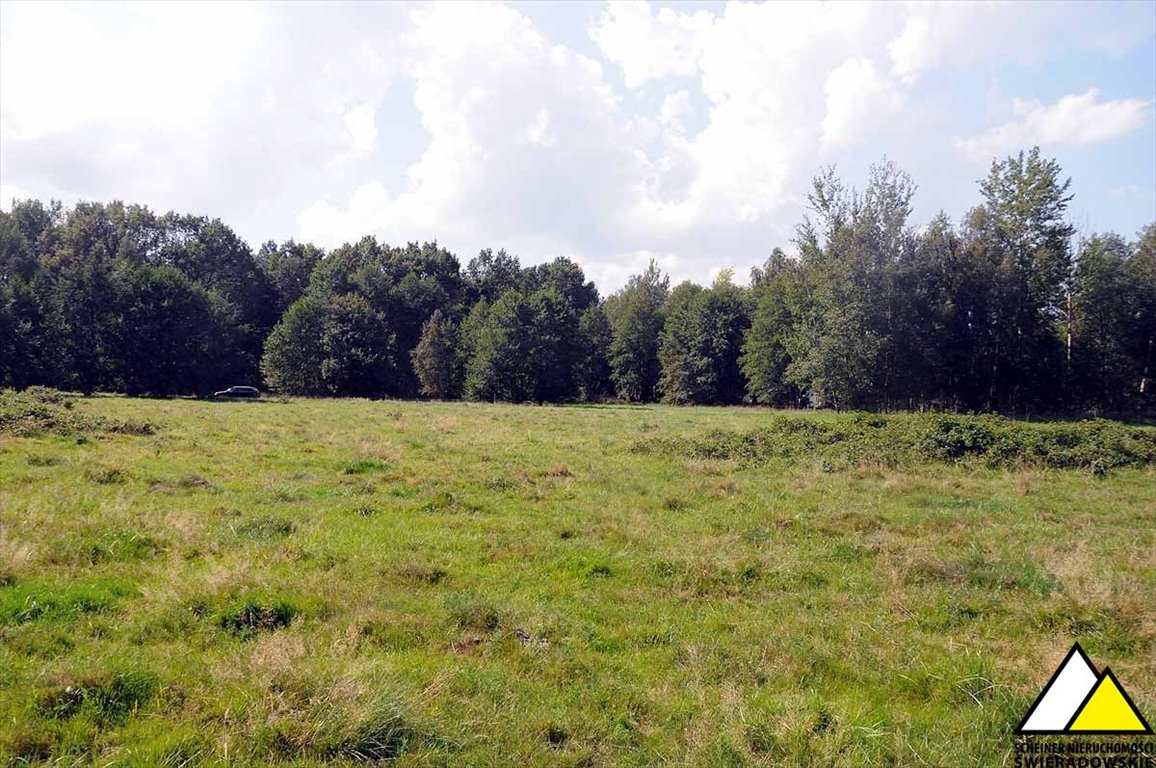 Działka rekreacyjna na sprzedaż Kamień  6 100m2 Foto 10