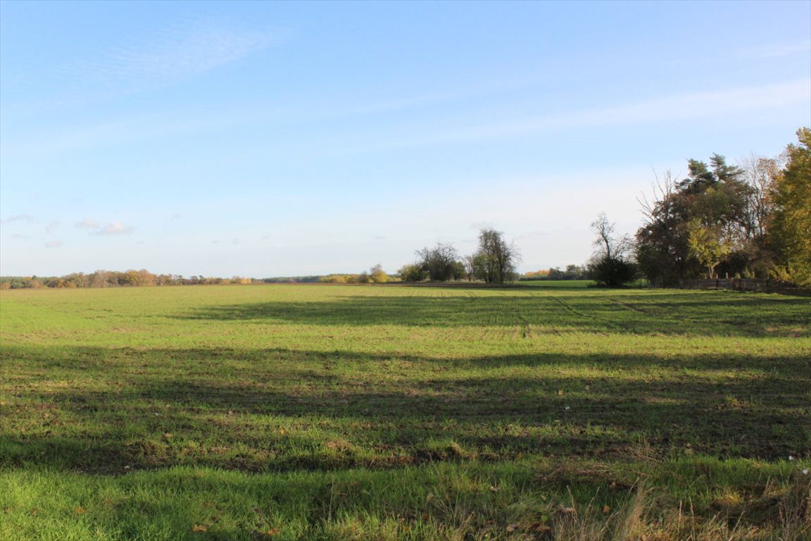 Działka budowlana na sprzedaż Mesze  1 000m2 Foto 11