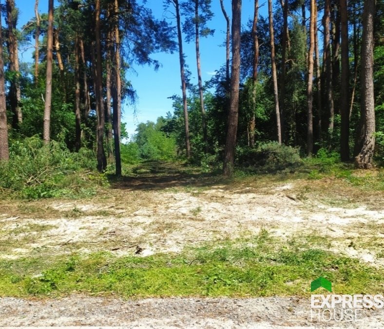 Działka budowlana na sprzedaż Kruszówiec, Nowa  4 500m2 Foto 2