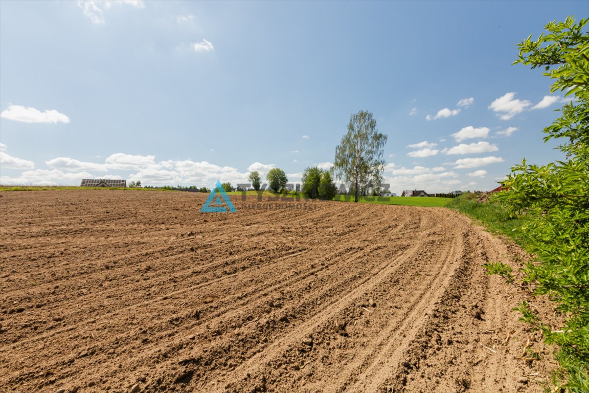 Działka budowlana na sprzedaż Półczno  1 420m2 Foto 6