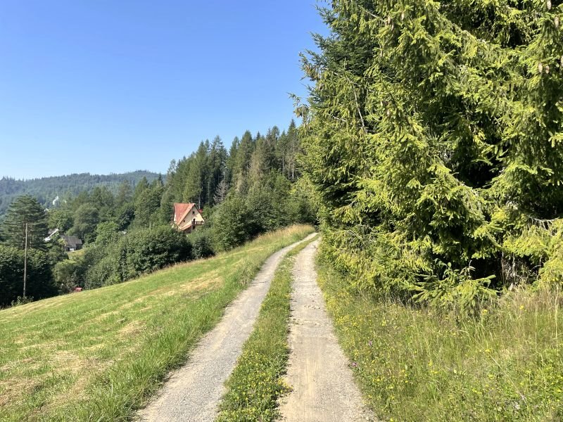 Działka inna na sprzedaż Wisła, Cieńków  2 400m2 Foto 6