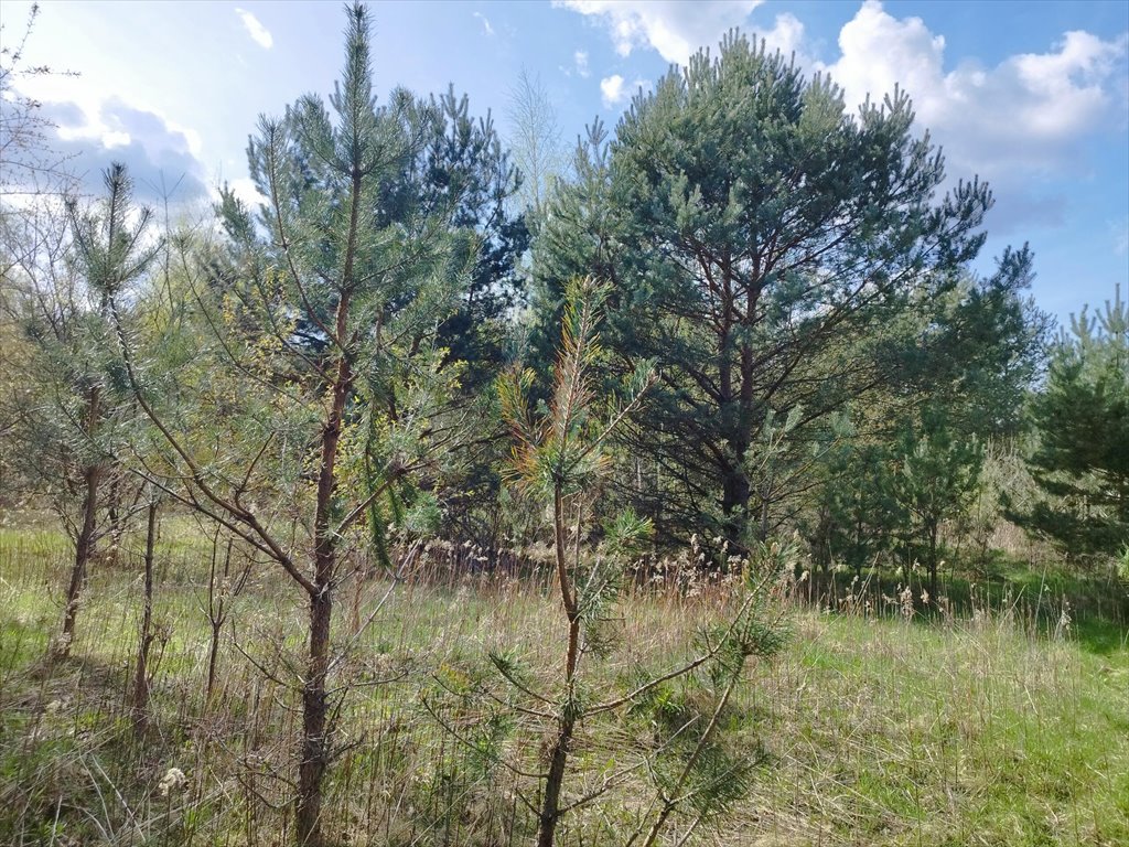 Działka budowlana na sprzedaż Łomianki, Odysei  708m2 Foto 3