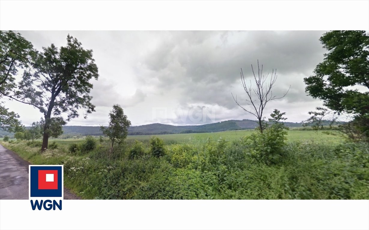 Działka pod farmę fotowoltaiczną, 62 ha, dostęp do drogi Biegoszów, Biegoszów, Biegoszów  62 000m2 Foto 1