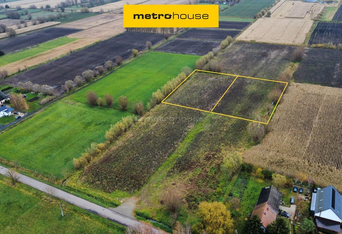 Działka budowlana na sprzedaż Krzewsk  4 221m2 Foto 1