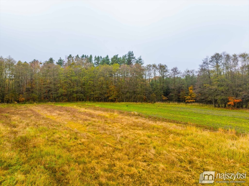 Działka budowlana na sprzedaż Węgorza, Wieś  1 500m2 Foto 4