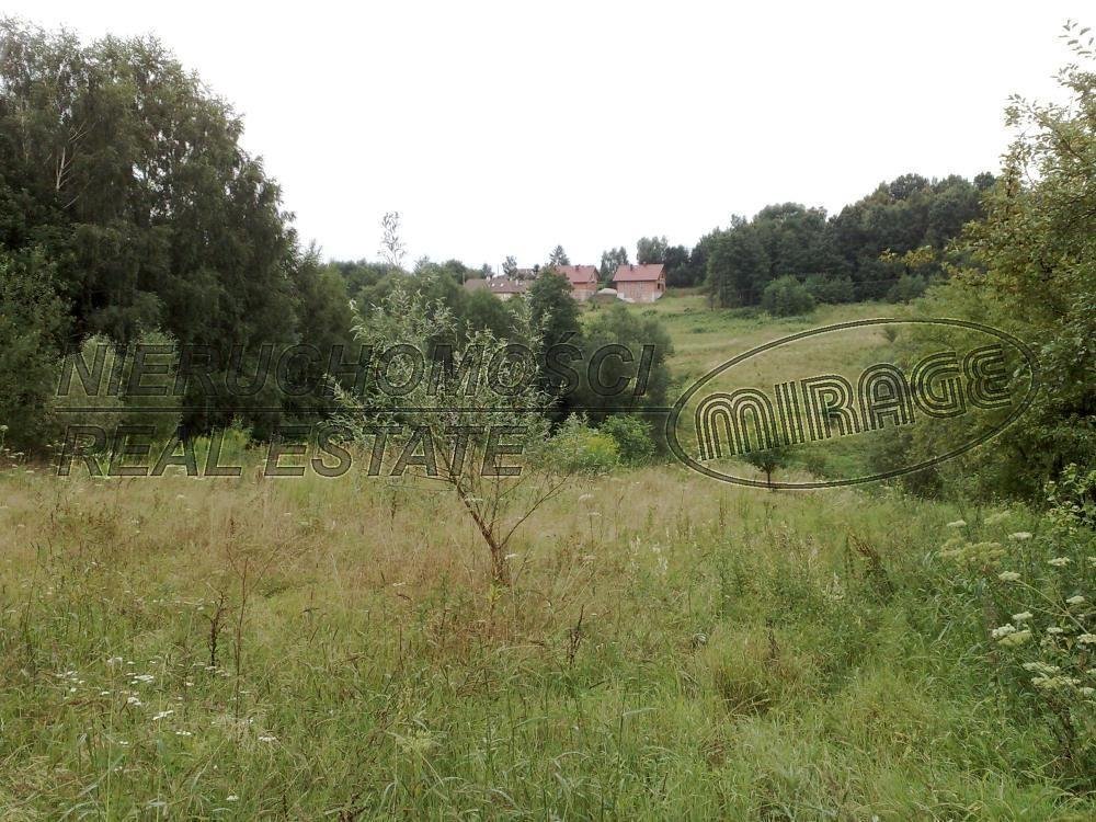 Działka inna na sprzedaż Gaj, Zadziela, Maryjna  19 500m2 Foto 4