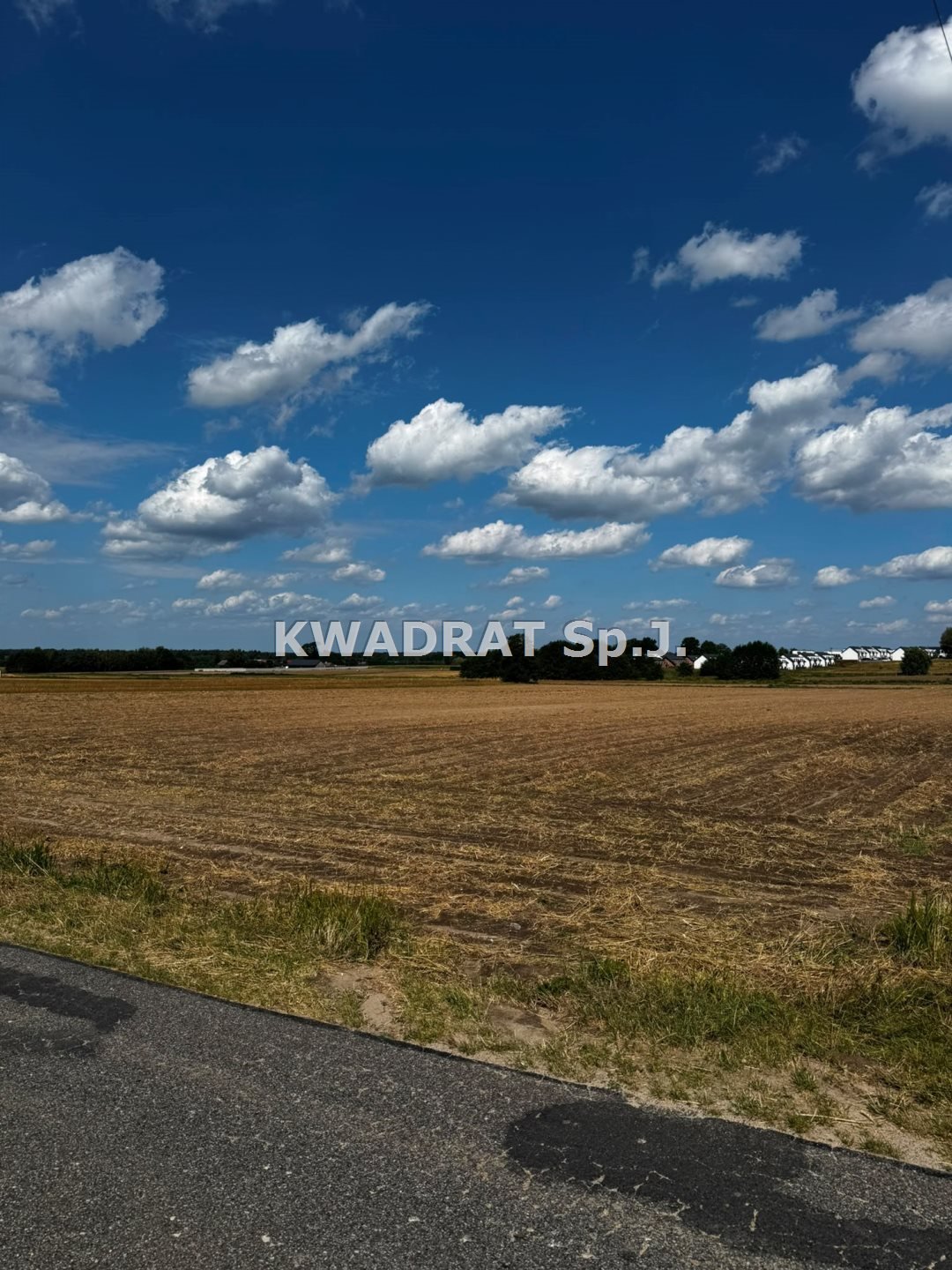 Zdjęcie 3