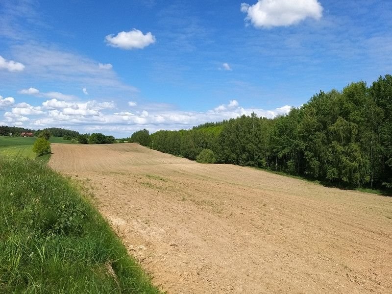 Działka rolna na sprzedaż Nowosady  19 000m2 Foto 4