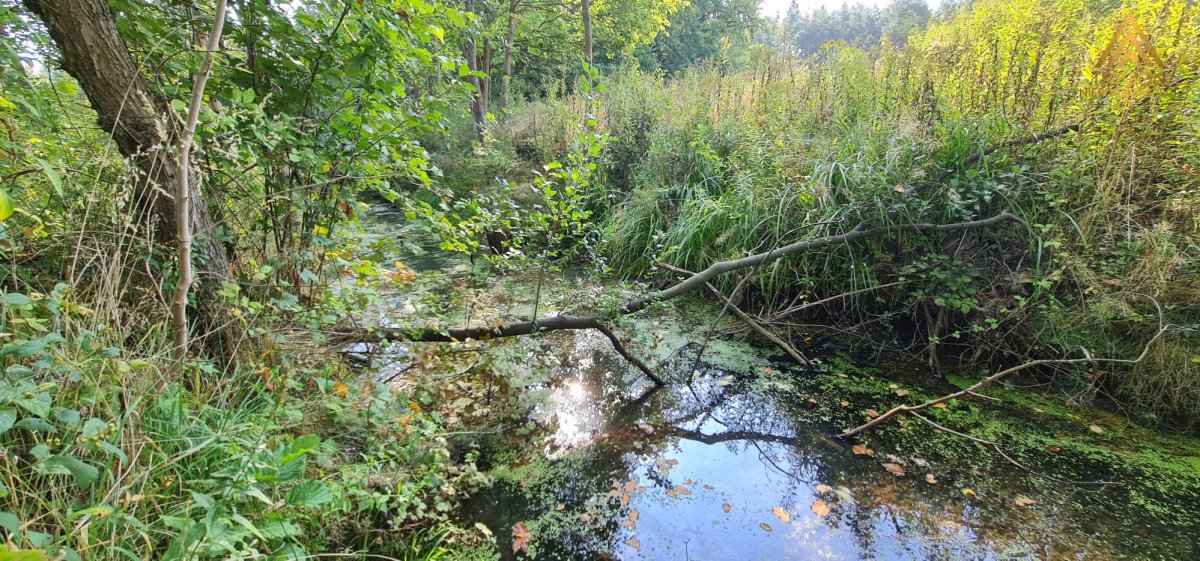 Działka budowlana na sprzedaż Wiązowna, Wiązowna Kościelna, Duchnowska  2 000m2 Foto 6