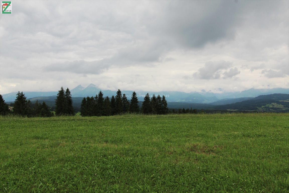 Działka rolna na sprzedaż RZEPISKA  3 500m2 Foto 3