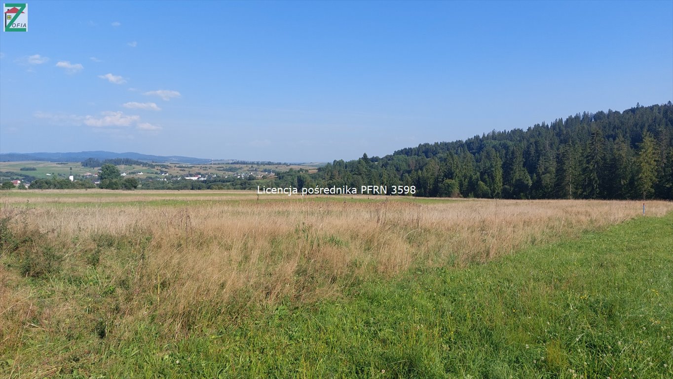 Działka rolna na sprzedaż Lipnica Wielka  2 000m2 Foto 3