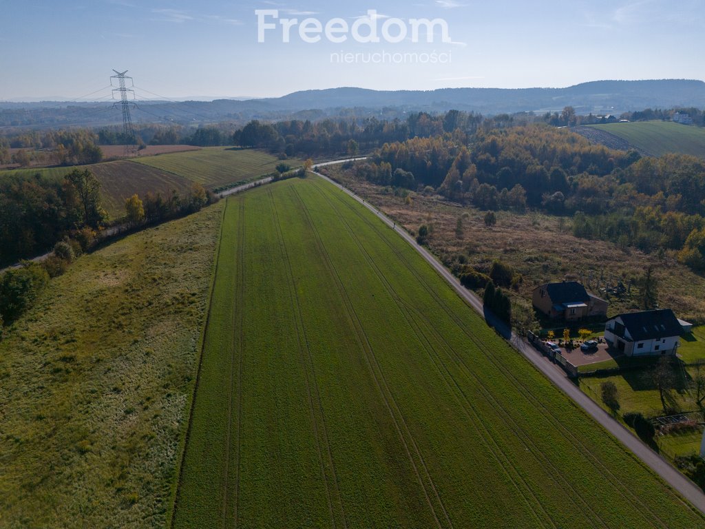 Działka inna na sprzedaż Brzeźnica, Świerkowa  19 000m2 Foto 7