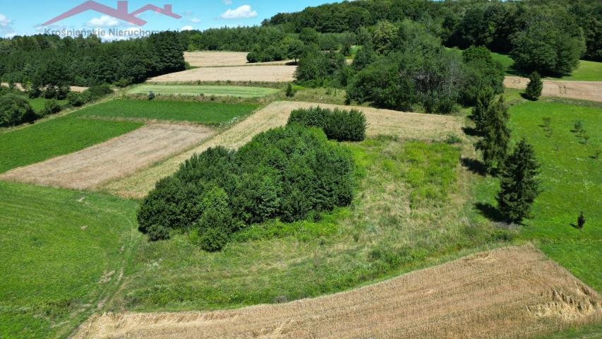 Działka rolna 2200 m² z drzewami, idealna pod pasiekę Piotrówka  2 200m2 Foto 1