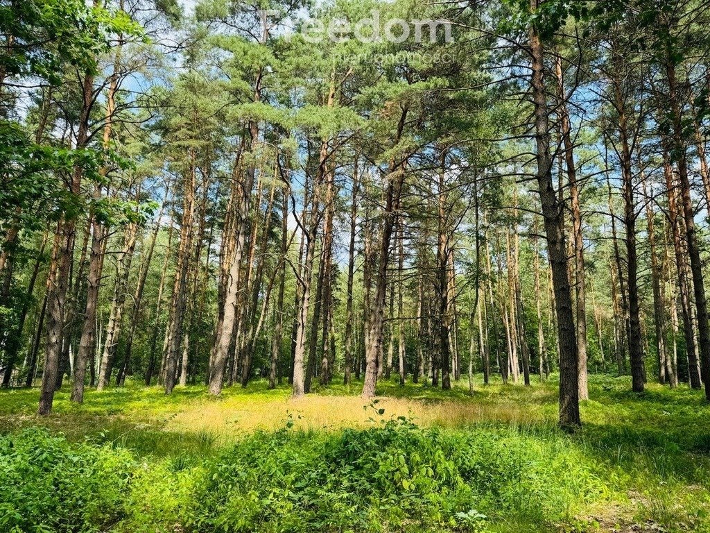 Działka budowlana na sprzedaż Złotokłos, Wierzbowa  4 200m2 Foto 7