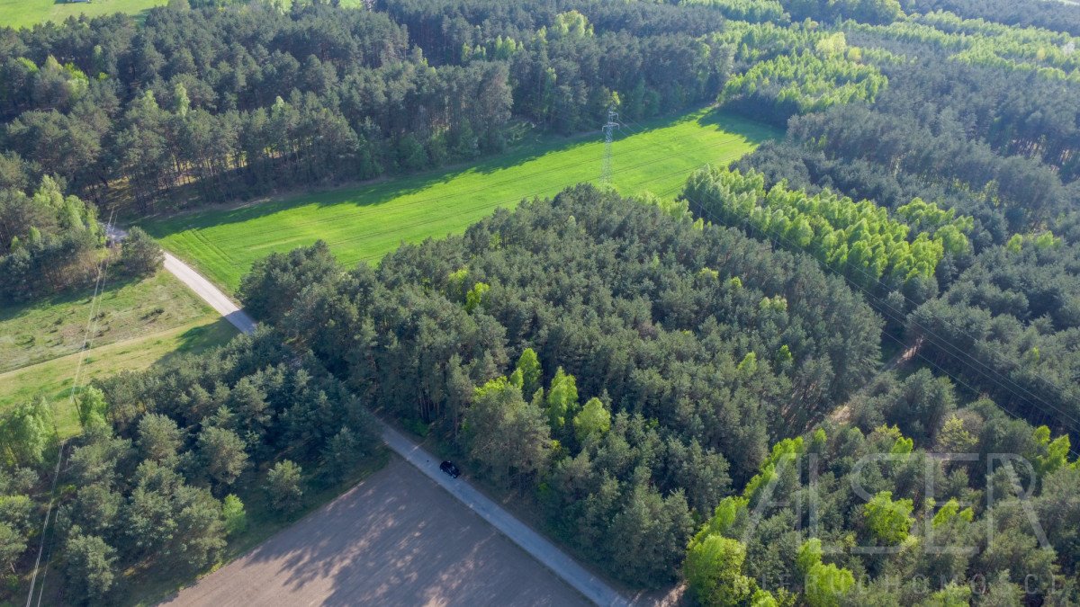 Działka rekreacyjna na sprzedaż Nowe Bosewo, Lipnik  1 245m2 Foto 7