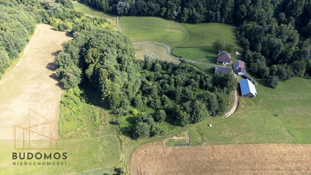 Działka rolna na sprzedaż Dębowa  7 200m2 Foto 2