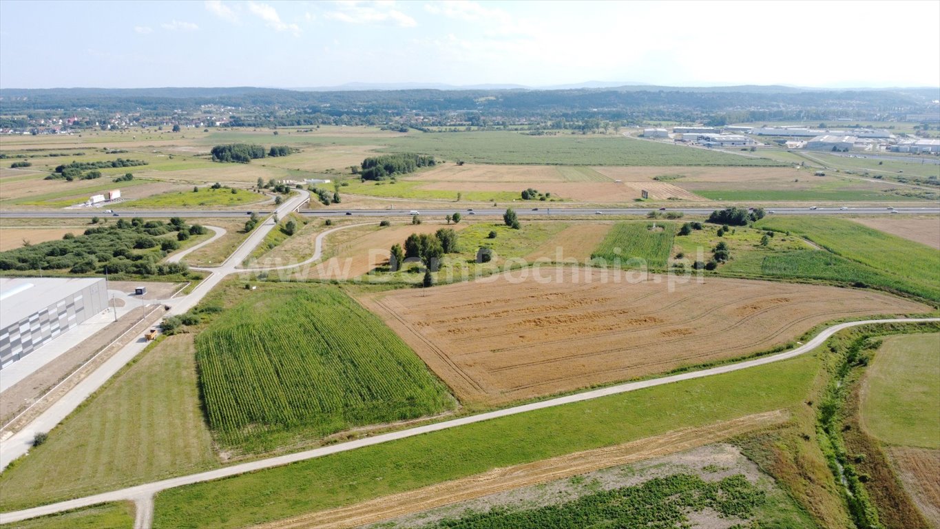 Działka przemysłowo-handlowa na sprzedaż Krzeczów  33 222m2 Foto 3