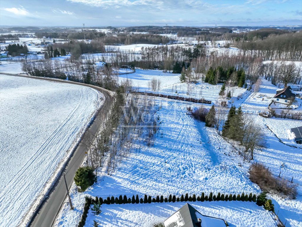 Działka budowlana na sprzedaż Jeleńska Huta  2 736m2 Foto 6