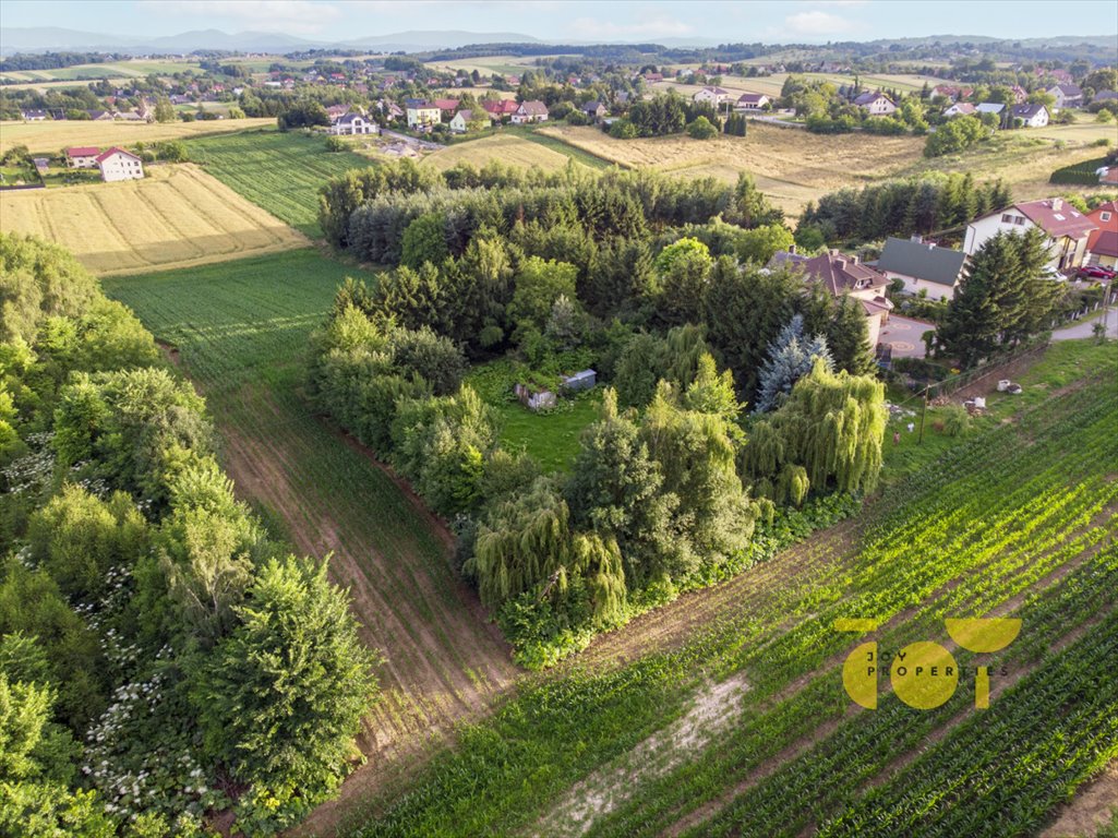 Działka budowlana na sprzedaż Brzezie  9 300m2 Foto 3