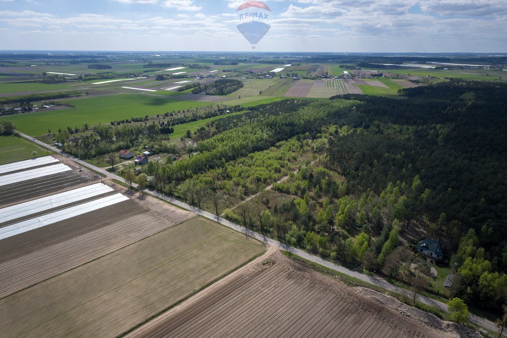 Działka budowlana na sprzedaż Ludwikowo  75 400m2 Foto 4