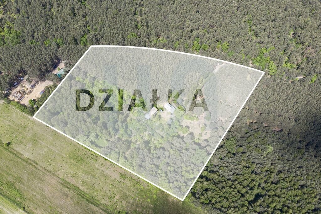 Działka budowlana na sprzedaż Wola Władysławowska  35 000m2 Foto 1