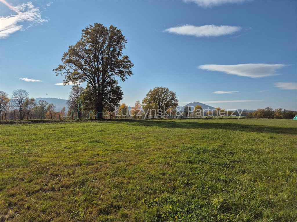 Działka budowlana na sprzedaż Janowice Wielkie  1 682m2 Foto 1