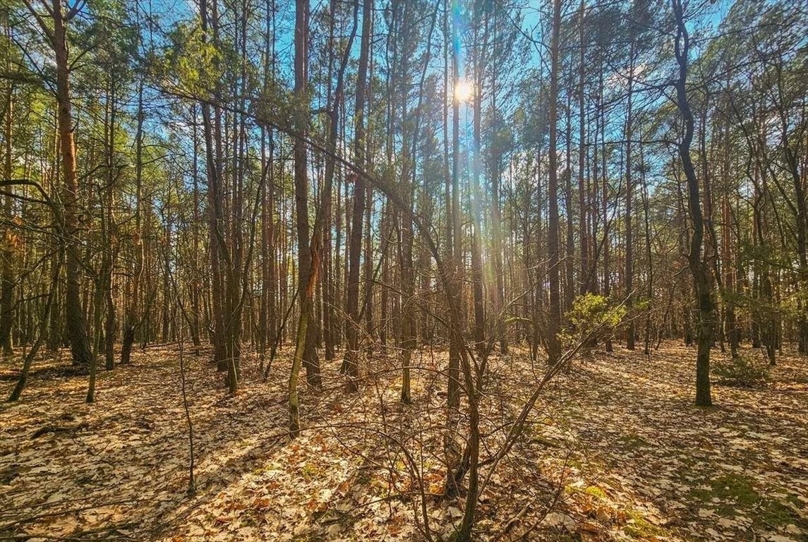 Działka budowlana na sprzedaż Warszawa, Wawer, ul. Kwitnącej Akacji  3 316m2 Foto 1