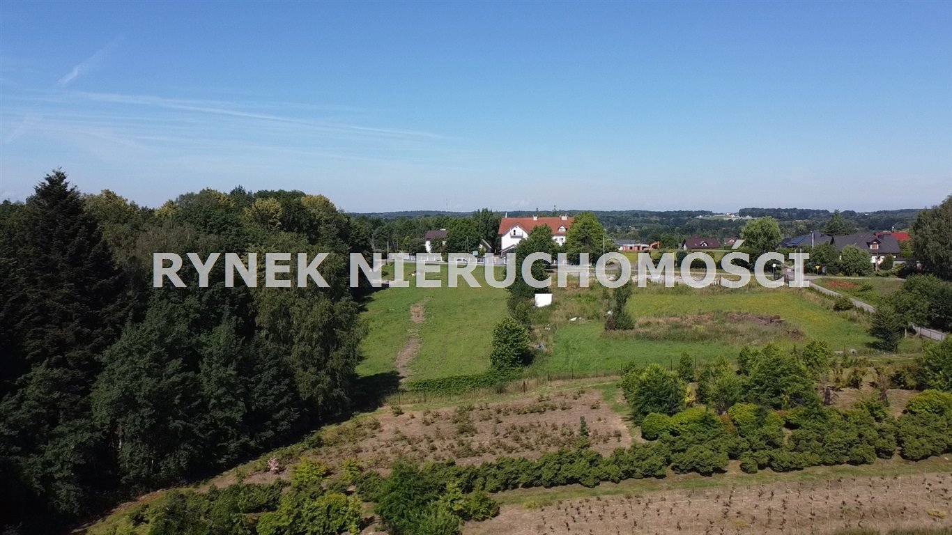 Działka inna na sprzedaż Pisarzowice  7 691m2 Foto 5