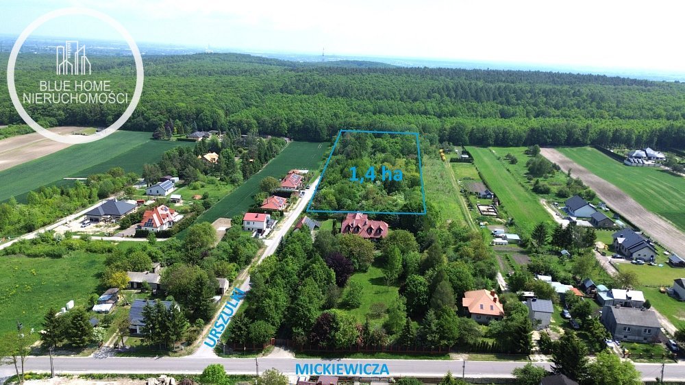 Zapraszam do zakupu działki 1,4 ha pod osiedle w Janowie Janów, Urszulki  14 004m2 Foto 1