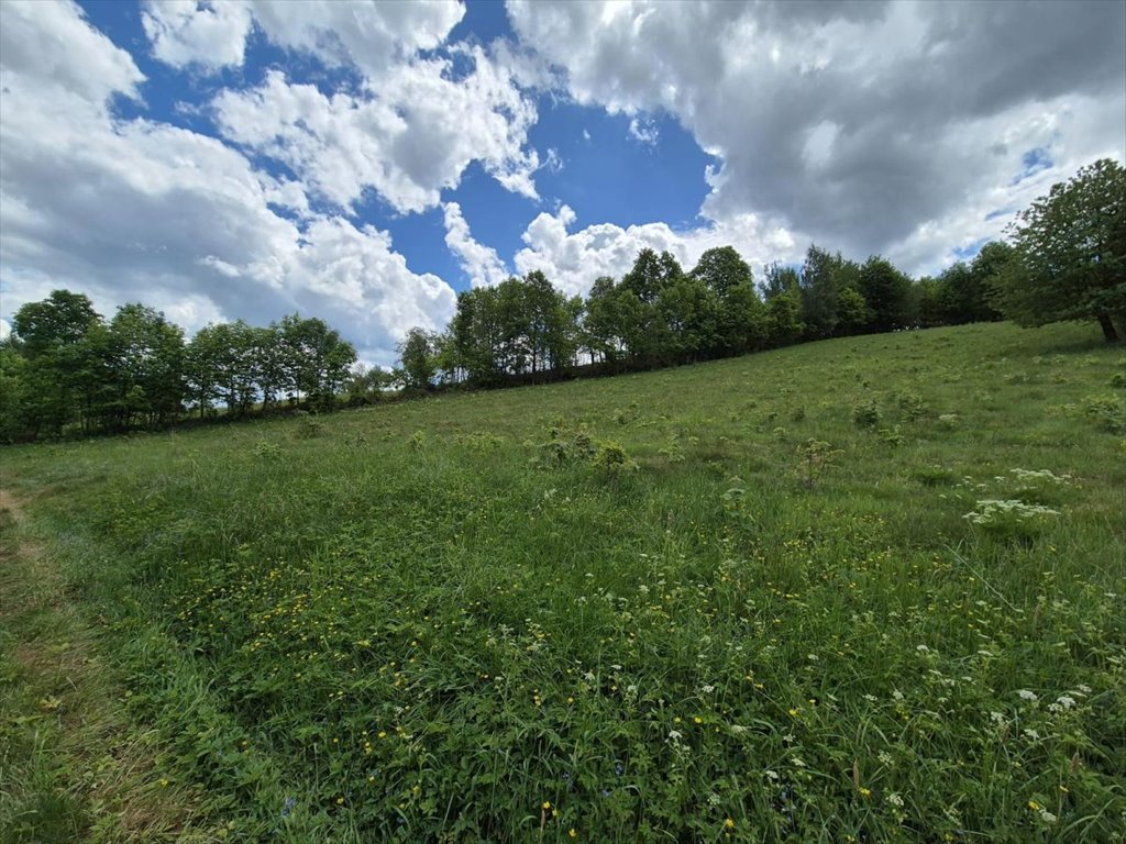 Działka przemysłowo-handlowa na sprzedaż Chromiec  4 800m2 Foto 2