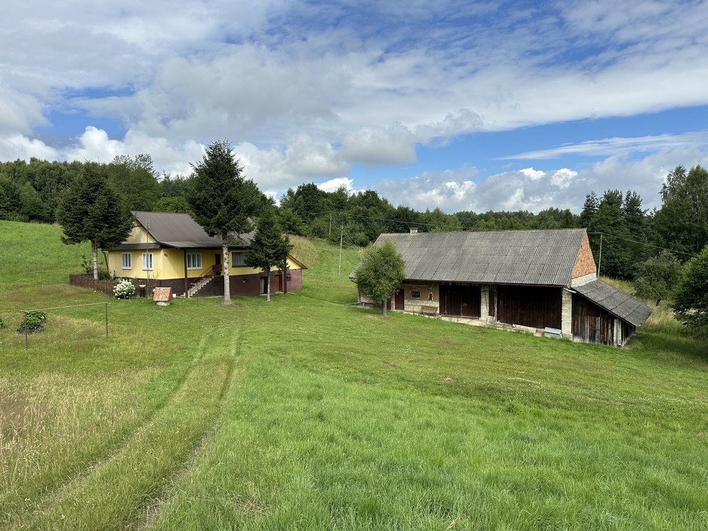 Dom na sprzedaż Nowy Borek  120m2 Foto 1