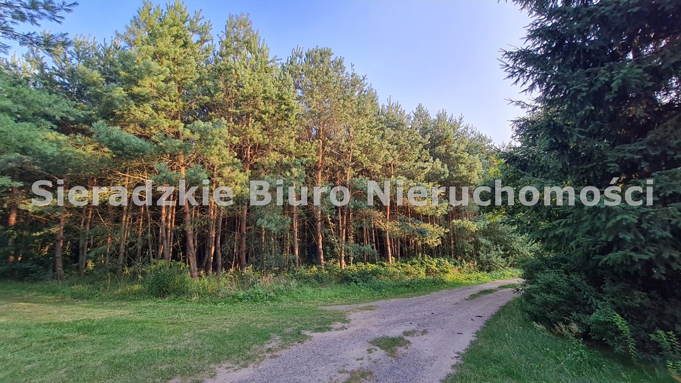 Zdjęcie 6