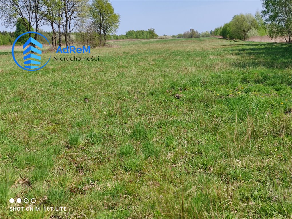 Działka inwestycyjna 48 763 m² z dostępem do dróg asfaltowych Turowice  48 763m2 Foto 1