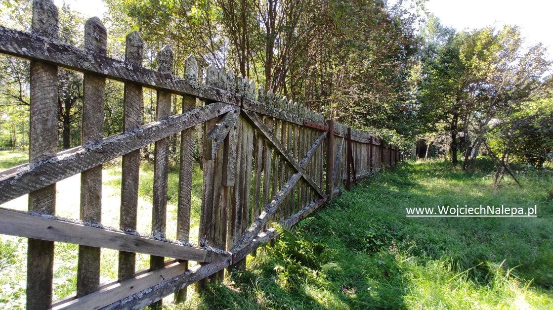 Działka siedliskowa na sprzedaż Janów Lubelski  172 850m2 Foto 15