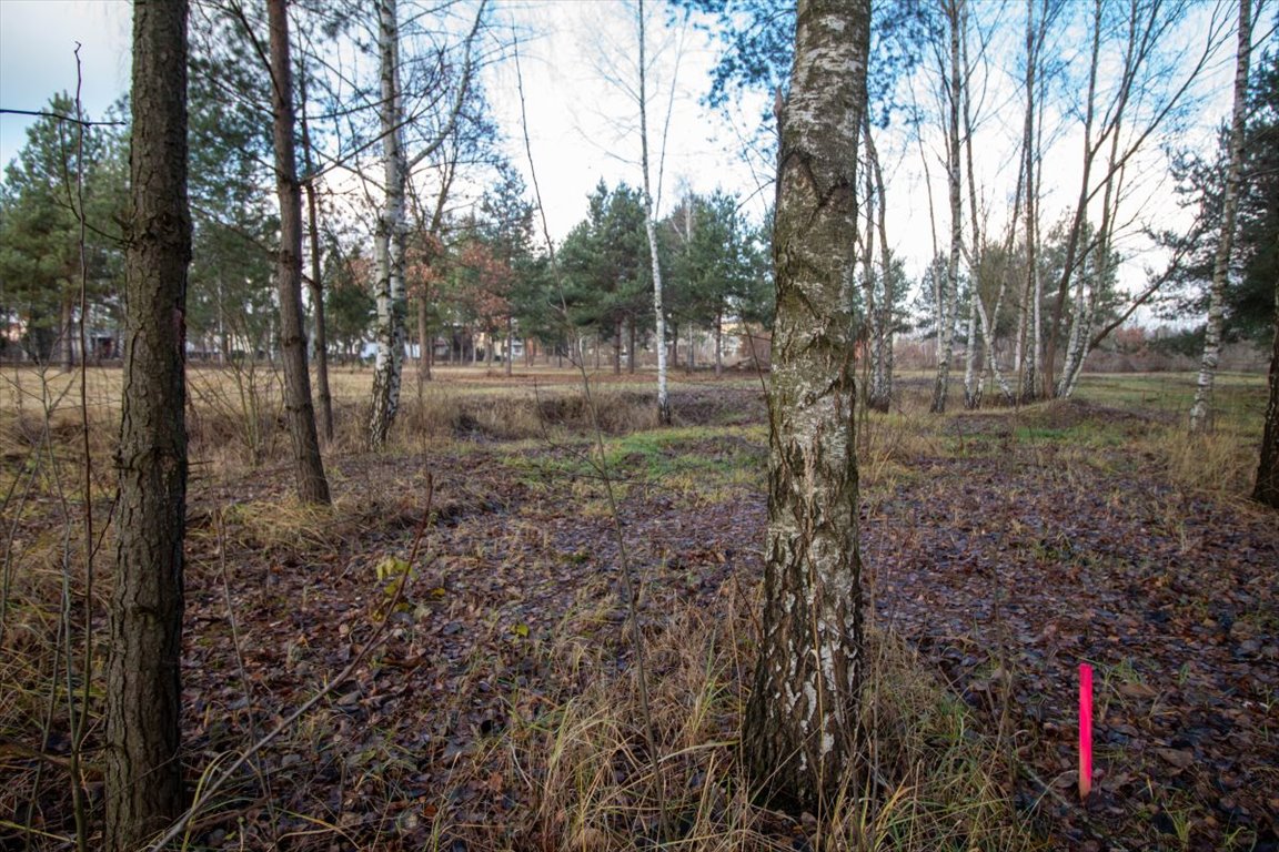 Działka budowlana na sprzedaż Koszęcin, Słowików  1 099m2 Foto 10