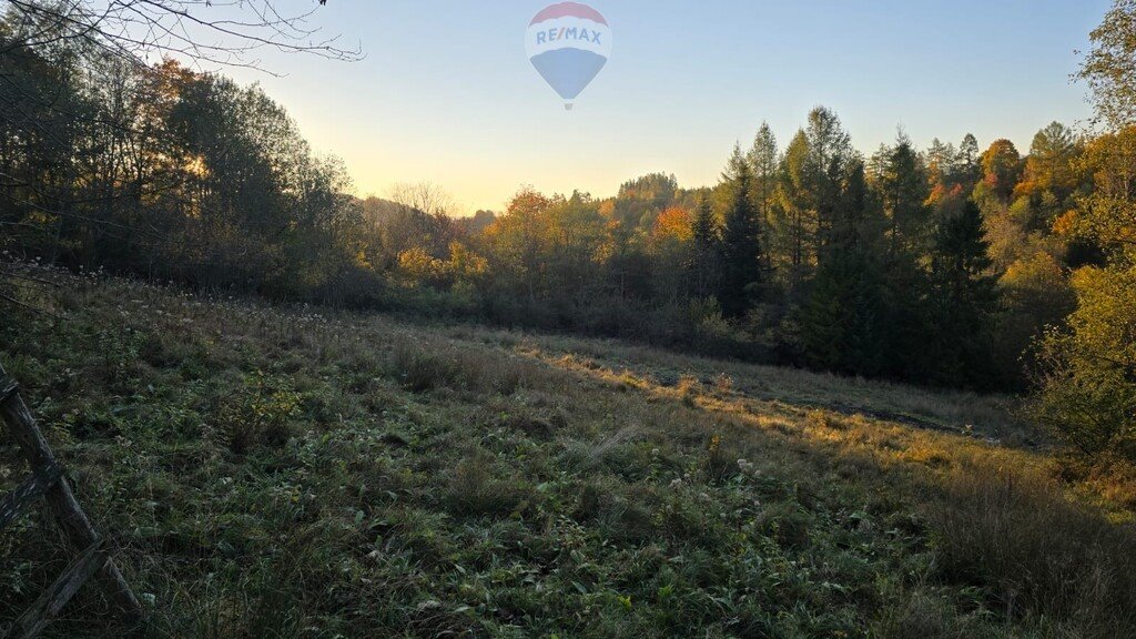 Działka rolna na sprzedaż Szczawnica  2 578m2 Foto 7