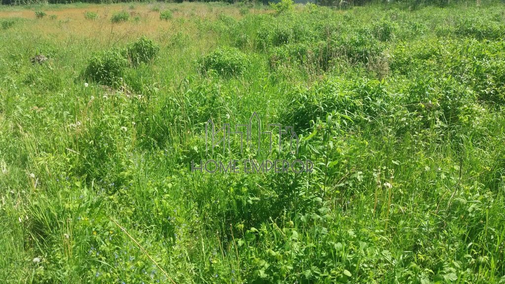 Na sprzedaż działka 38 000 m² w Skrzynkach z warunkami zabudowy Skrzynki  38 000m2 Foto 1