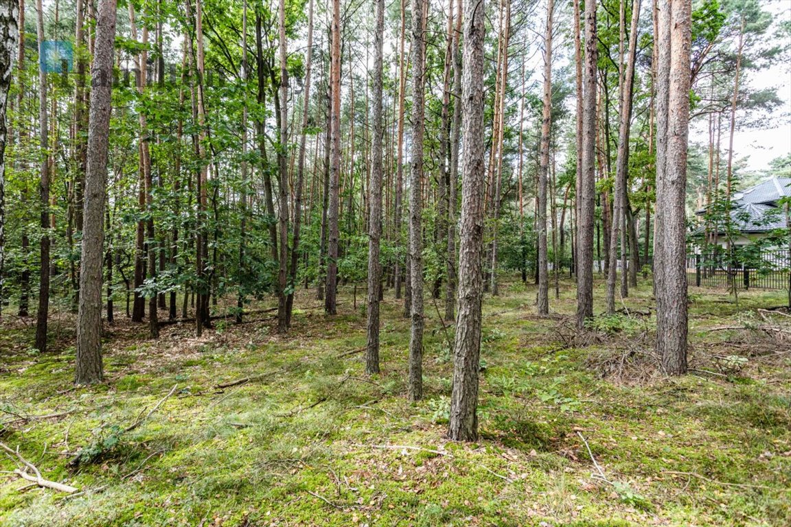 Działka inna na sprzedaż Sękocin-Las, Sękocin-Las, Sękocin Las  2 100m2 Foto 5