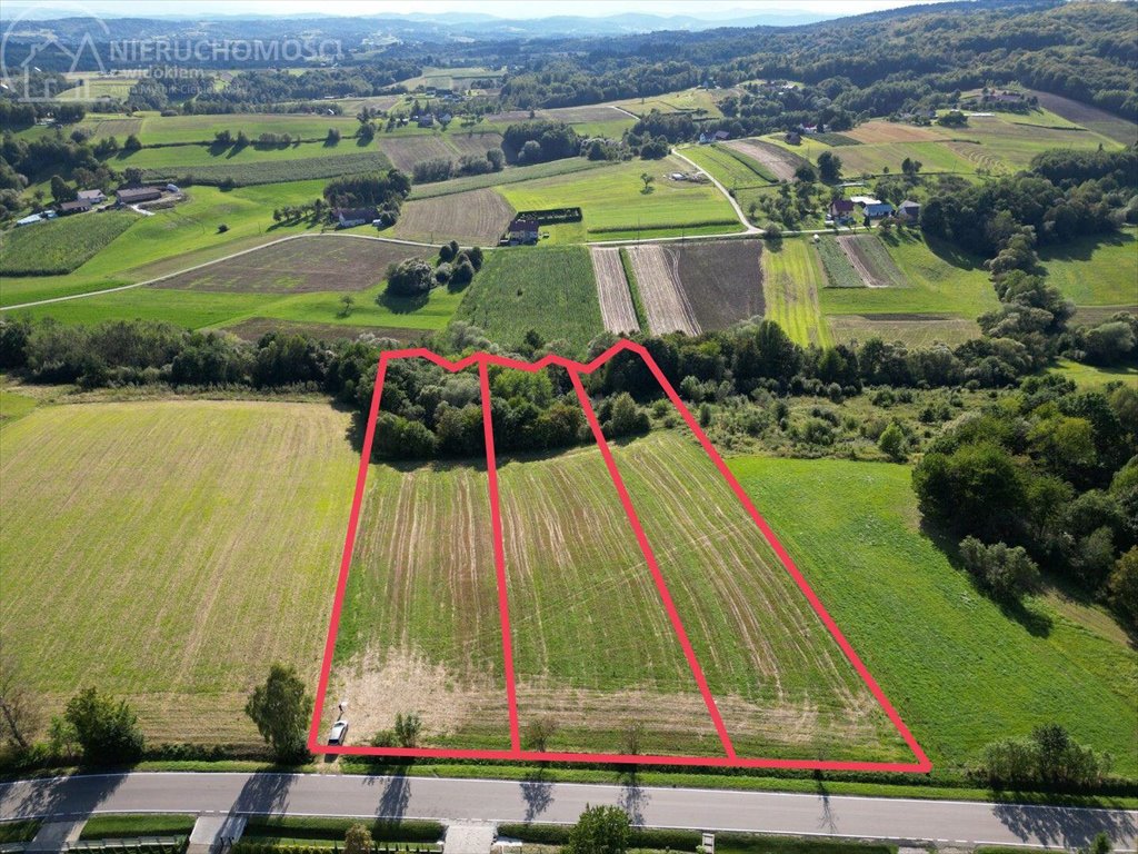 Zapraszam do zakupu działki 60 arów z widokiem na pagórki Lichwin  6 000m2 Foto 1