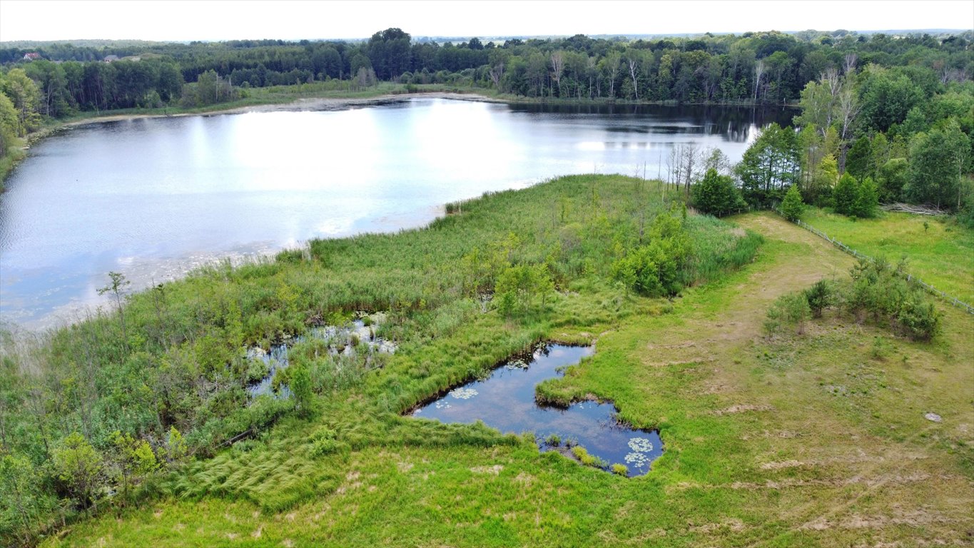 Działka rolna na sprzedaż Elganowo  10 700m2 Foto 7