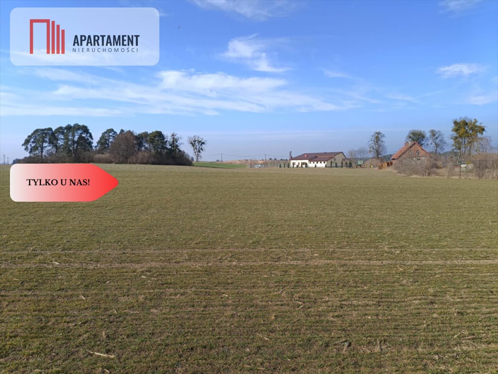 Działka budowlana na sprzedaż Osetno  11 800m2 Foto 13