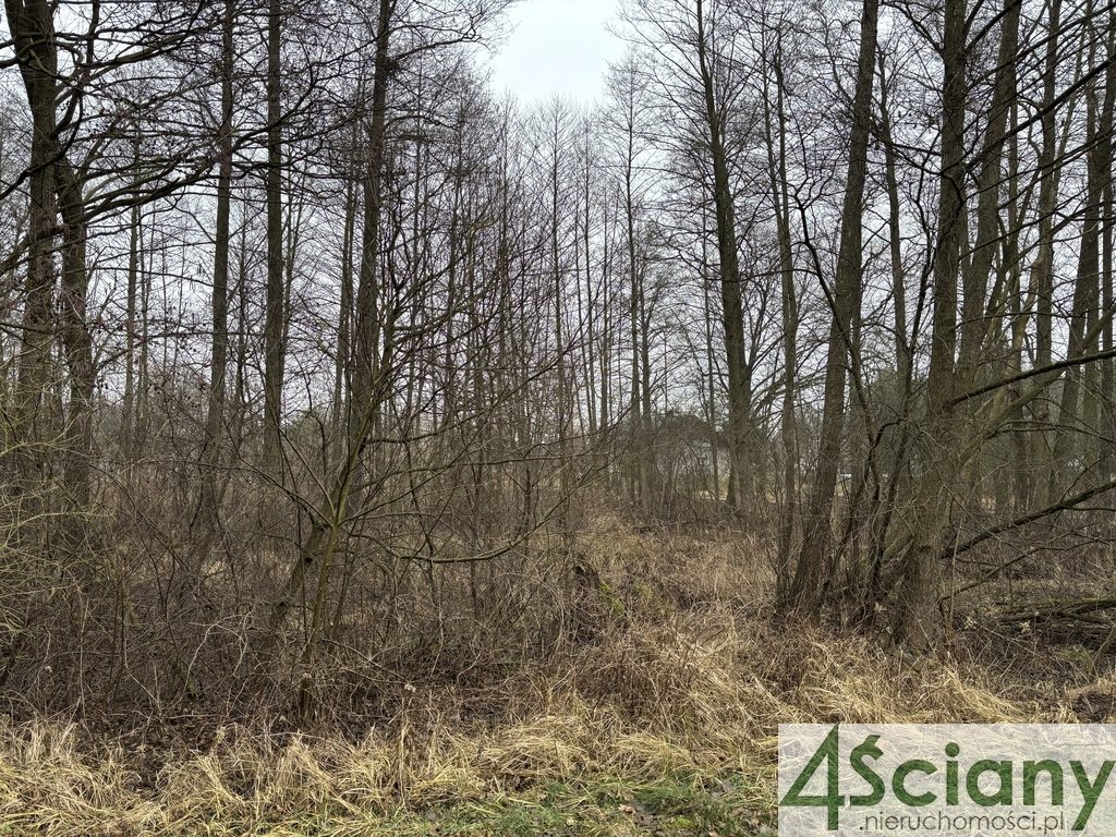 Działka rolna na sprzedaż Stare Polesie  3 000m2 Foto 4